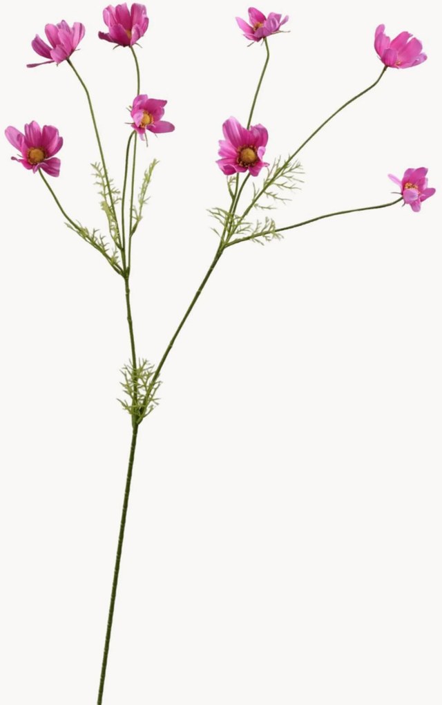 Ramos artificiais Cosmos, conjunto de 2