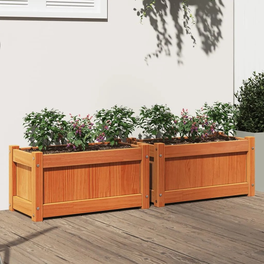 vidaXL Vasos/floreiras de jardim 2 pcs pinho maciço castanho cera