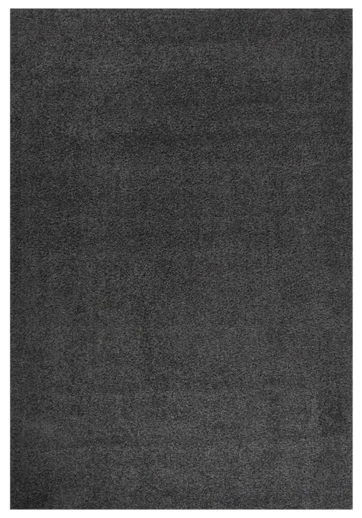 342129 vidaXL Tapete shaggy de pelo alto 160x230 cm antracite