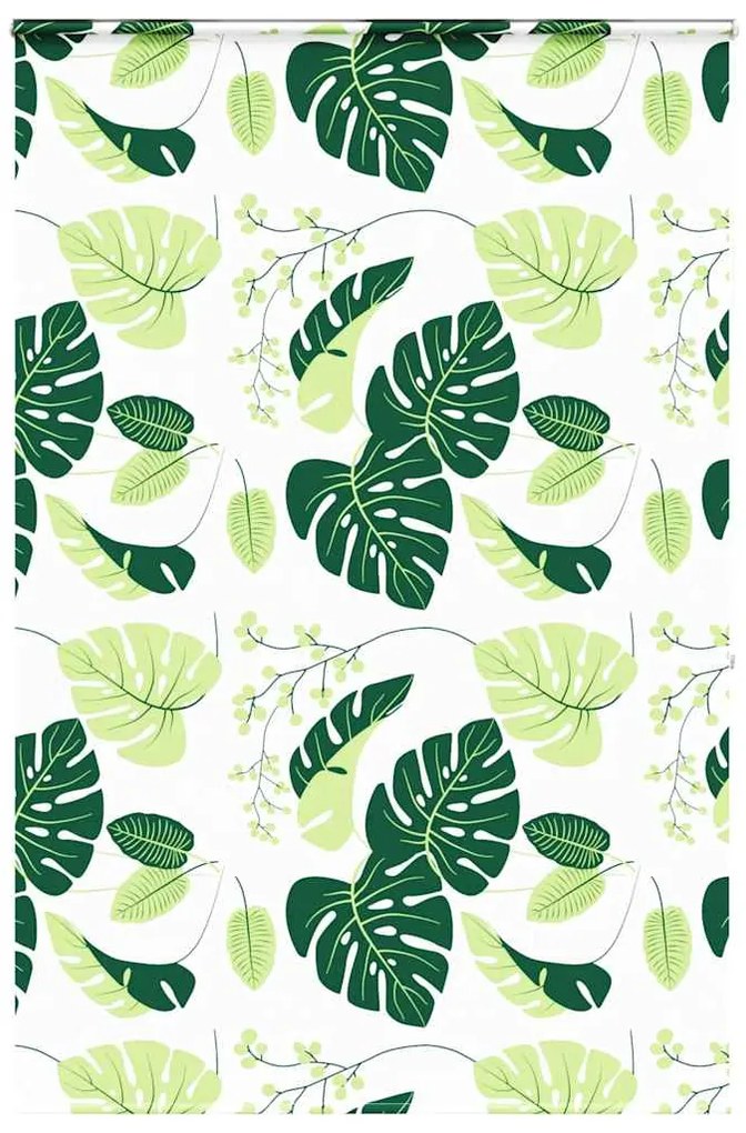 vidaXL Rolo de Duche Estores cassete 150x240 cm Largura Tecido 146 cm