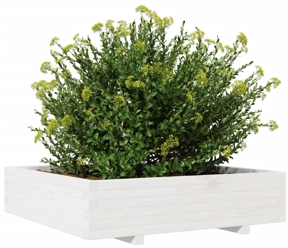 Vaso/floreira de jardim 100x100x26,5 cm pinho maciço branco