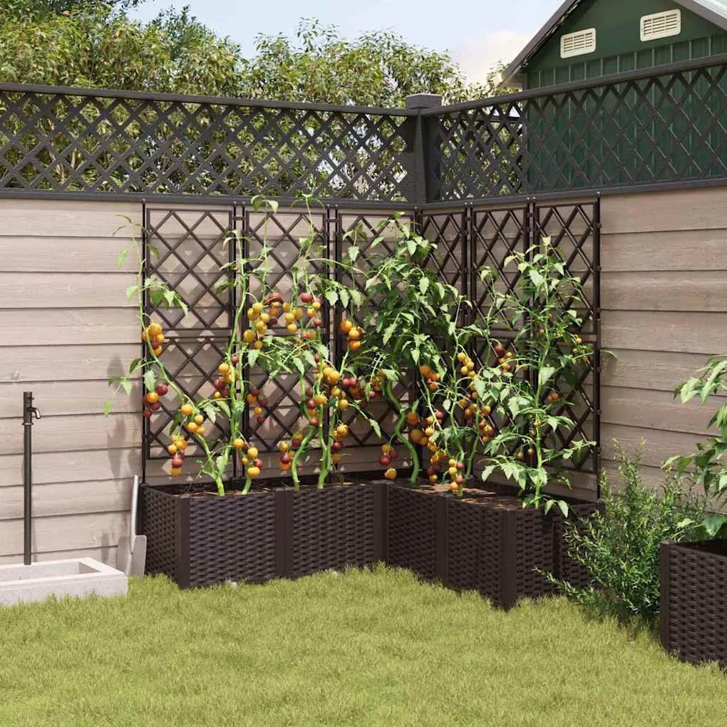 Vaso de Jardim com Treliça 5 pcs Castanho 120x120x143 cm