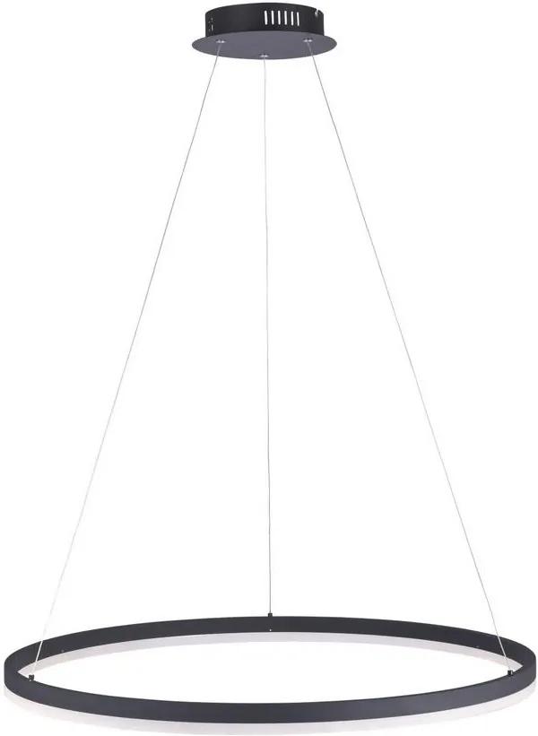 Paul Neuhaus 2383-13 - Candelabro suspenso LED com regulação TITUS LED/50W/230V