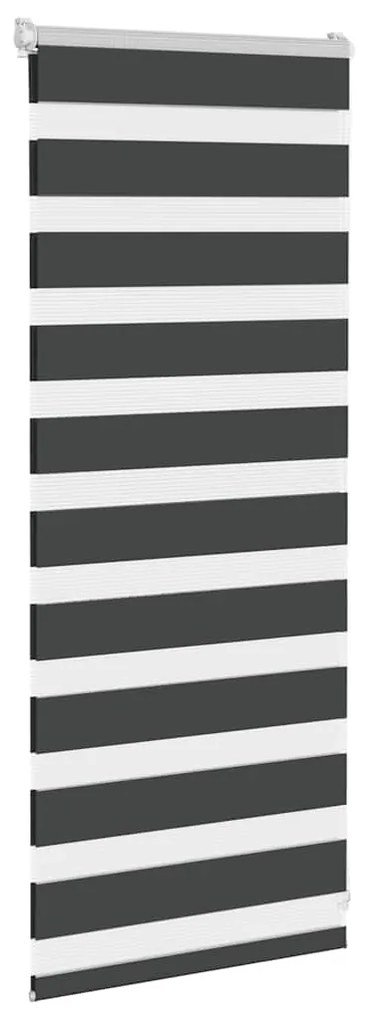 Cortina de zebra 60x100 cm largura do tecido 55,9 cm poliéster