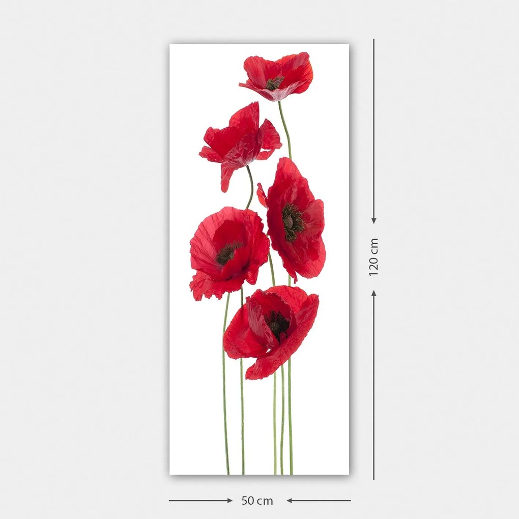 Pintura Decorativa em Tela DKY128322_50120 – Multicolor – 50 x 120 cm