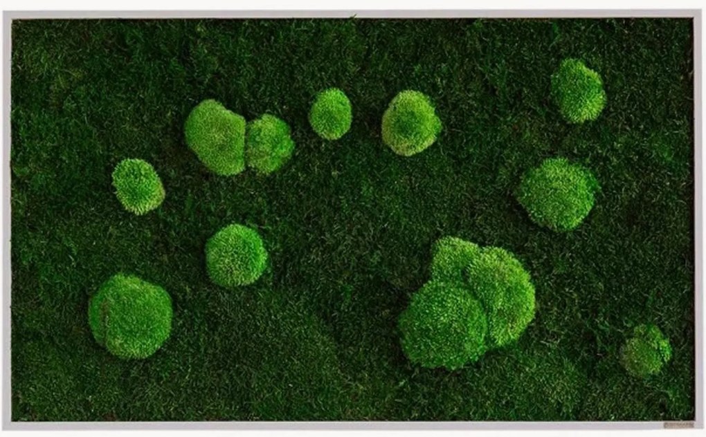 Quadro emoldurado artesanal com musgo Forest & Ball Wild