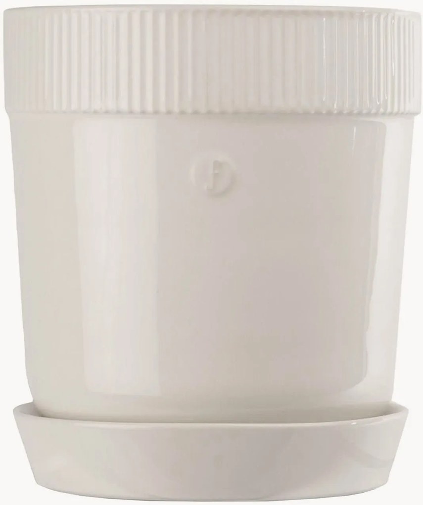 Vaso Elise