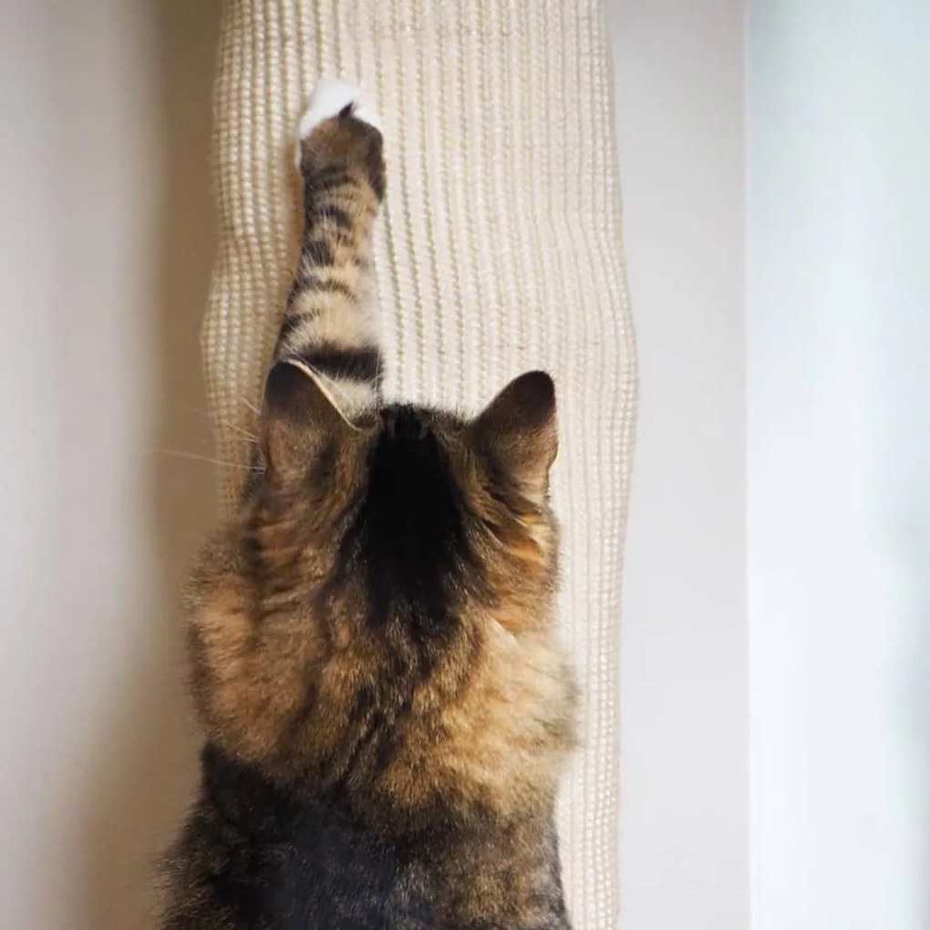 Saco trepador p/ gatos 180 cm sisal