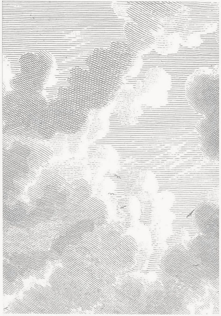 Papel de parede não tecido Engraved Clouds