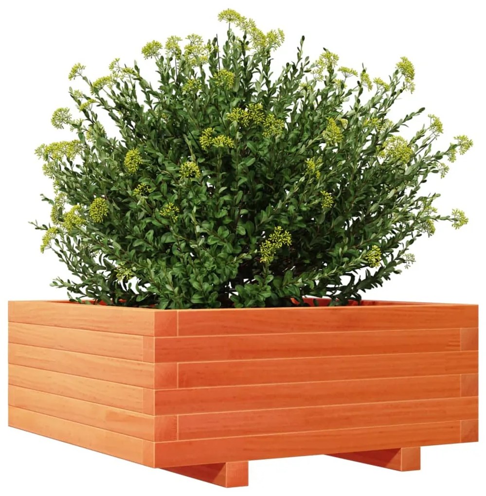 Vaso/floreira de jardim 60x60x26,5 cm pinho maciço castanho-mel