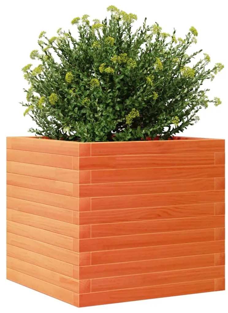 Vaso/floreira de jardim 50x50x45,5 pinho maciço castanho mel