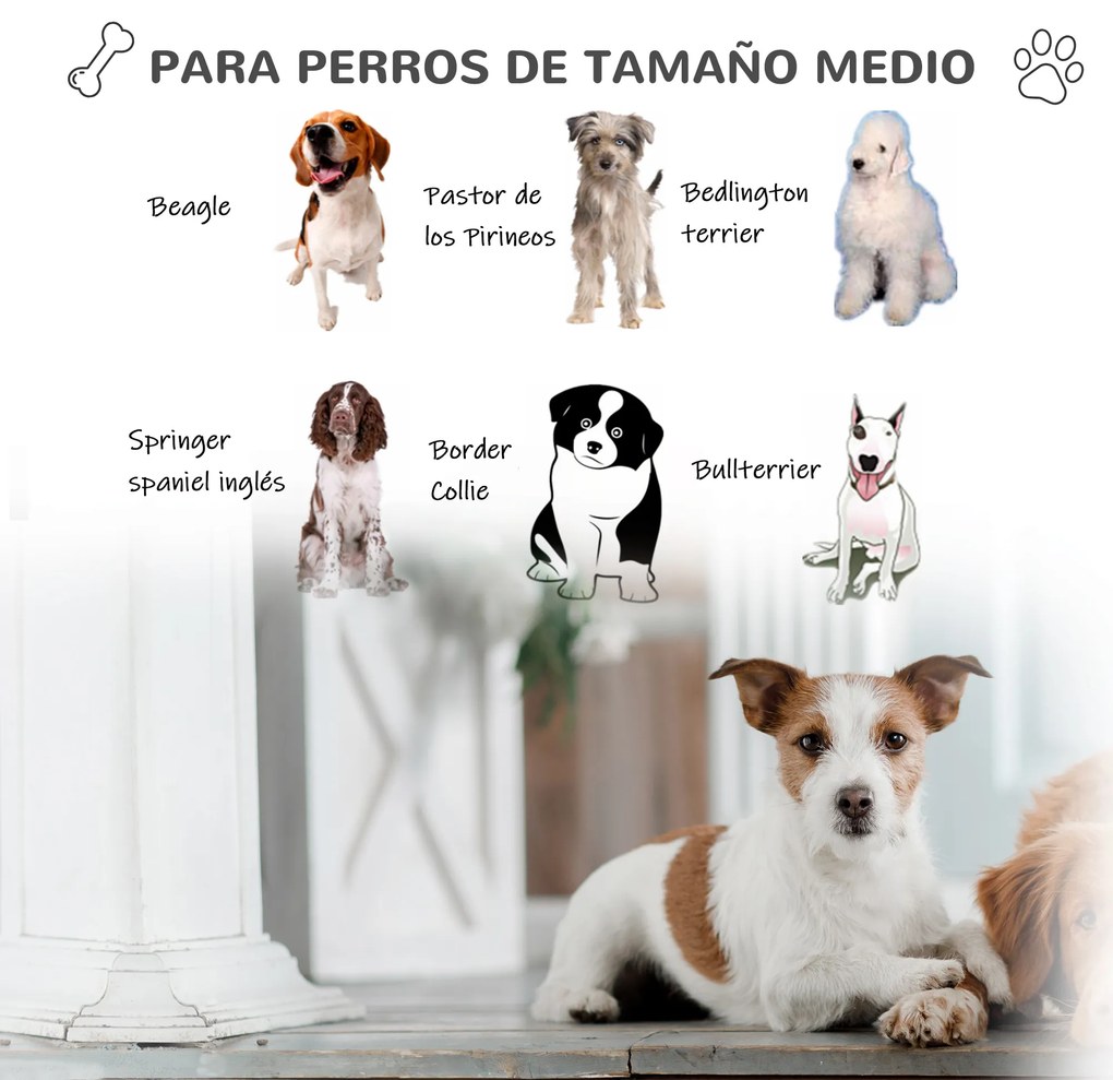 PawHut Casota de Cães Medianos com Porta Metálica Fechadura Teto Inclinado e Base Elevada para Interior e Exterior 78x87x81cm Branco e Verde