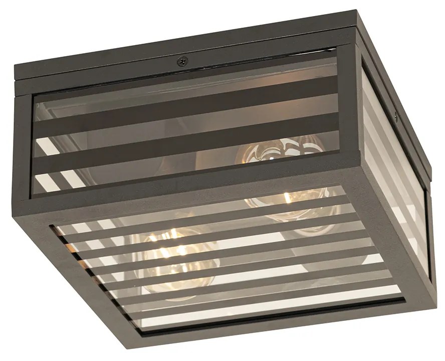 Candeeiro de teto exterior moderno preto em vidro 2 luzes IP44 - Reims Moderno