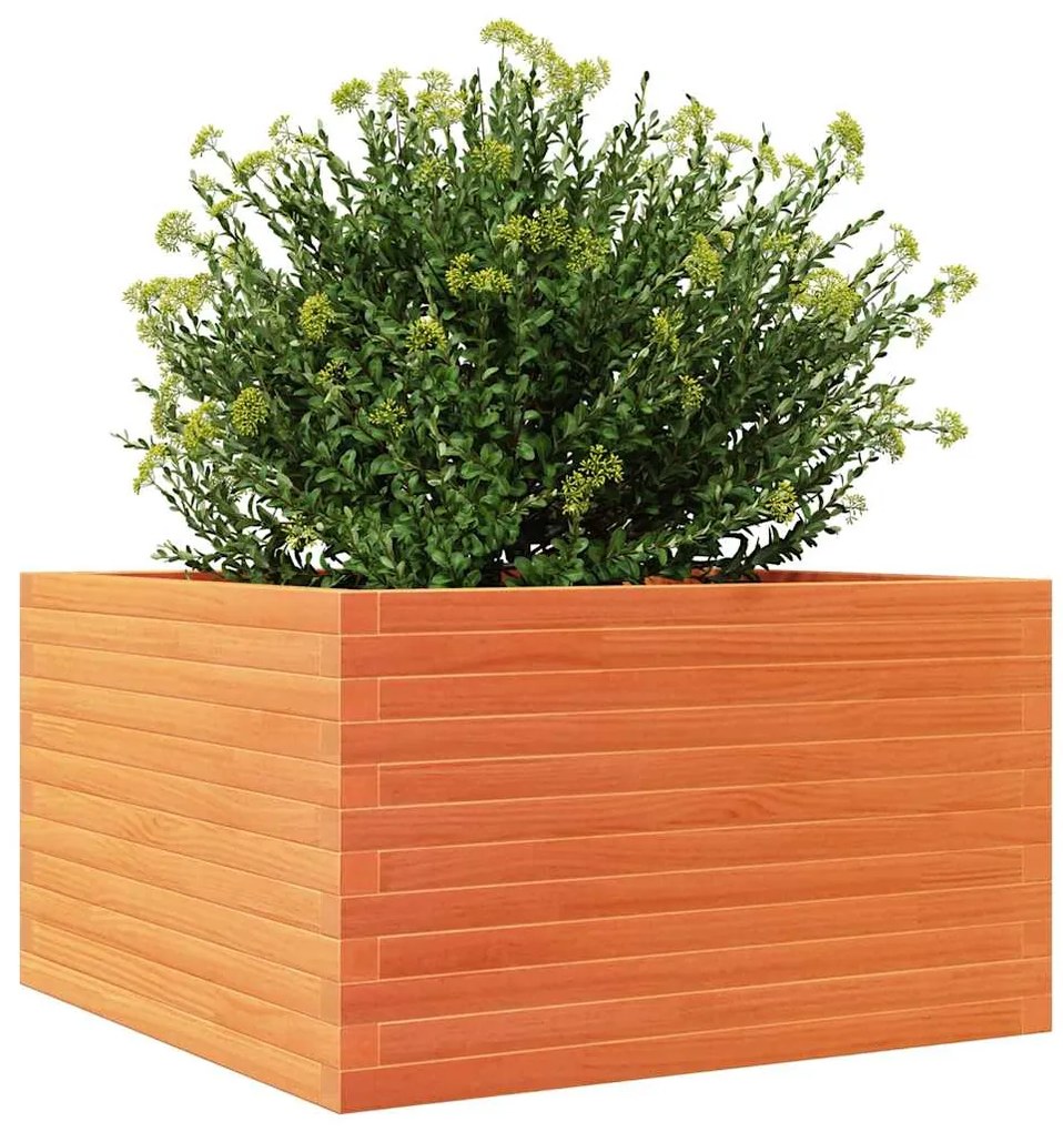 Vaso/floreira de jardim 80x80x46 cm pinho maciço castanho-mel