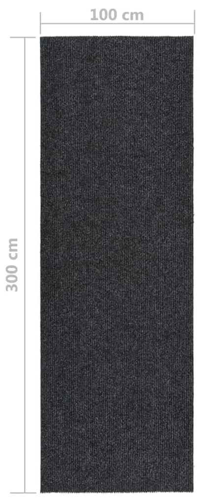 Tapete/passadeira de entrada 100x300 cm antracite