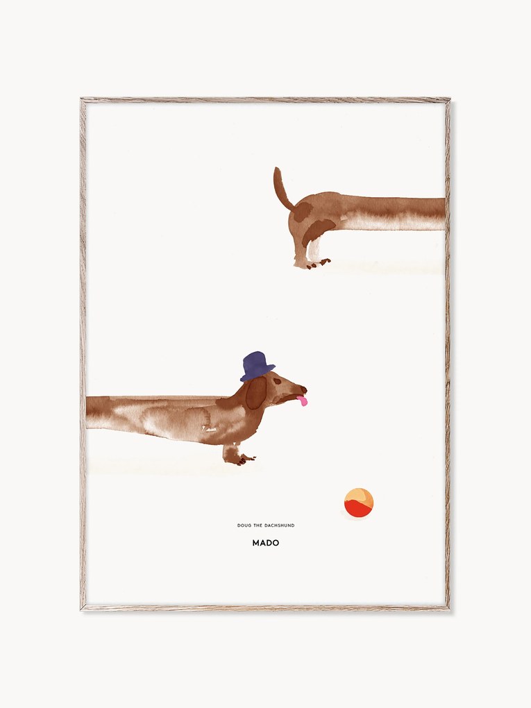 Póster Doug the Dachshund