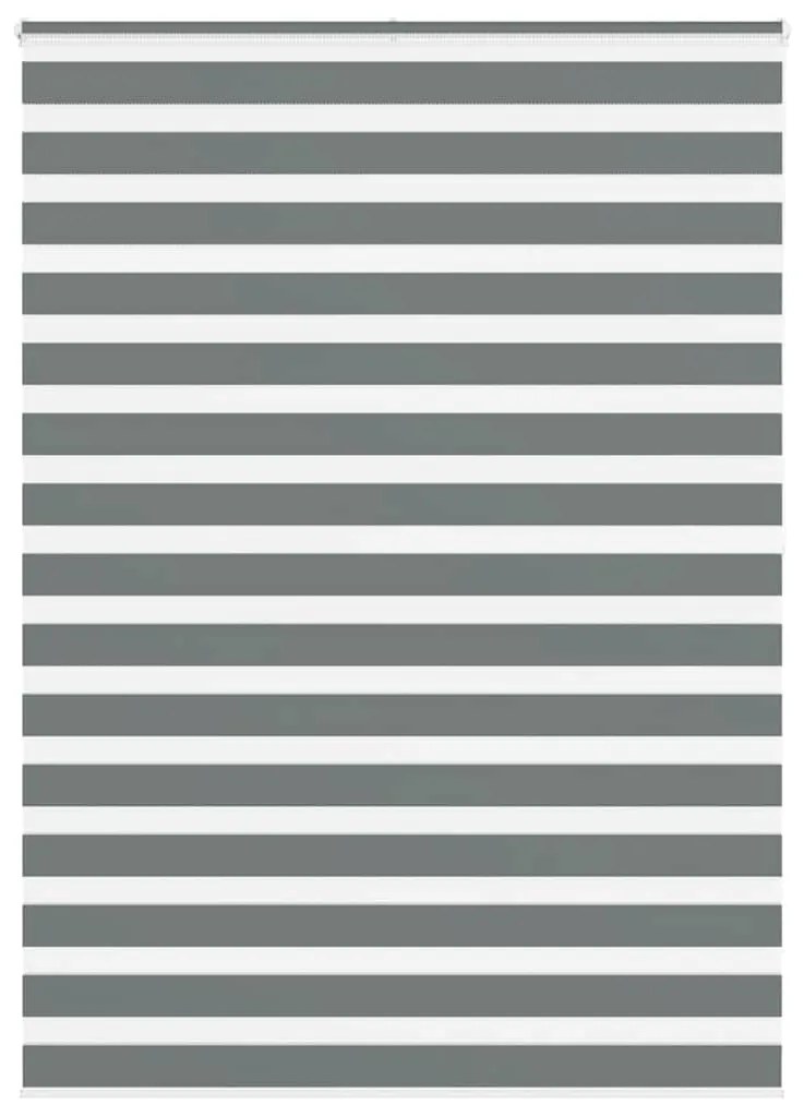 vidaXL Cortina de zebra 155x200 cm largura do tecido 150,9cm poliéster