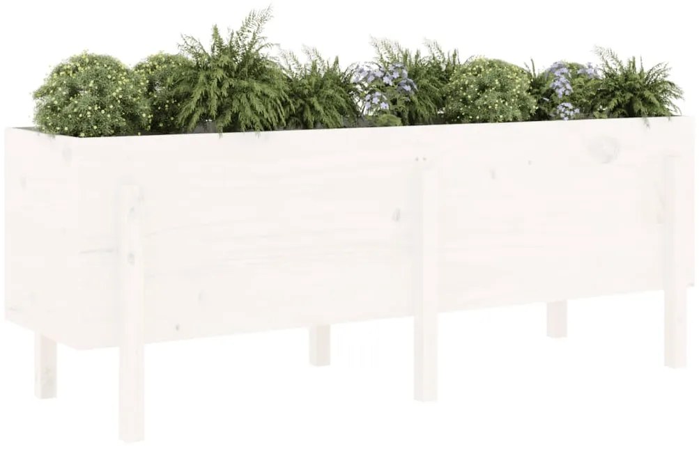 Canteiro elevado de jardim 160x50x57 cm pinho maciço branco