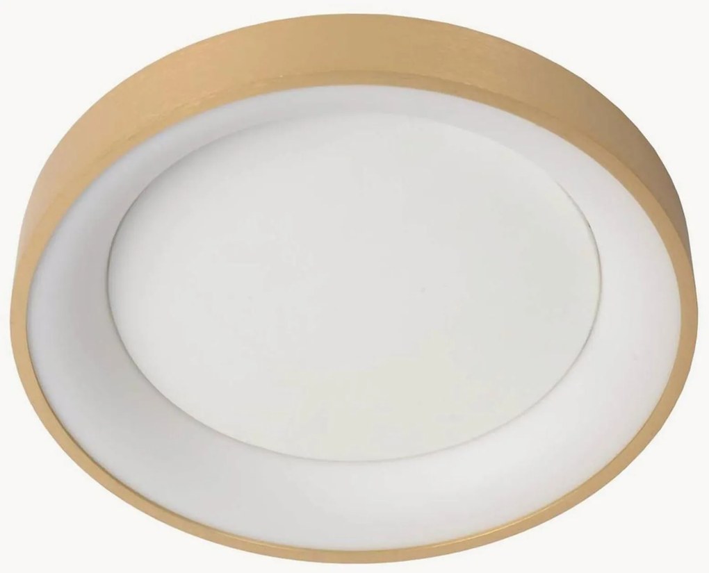 Candeeiro de teto LED regulável Vidal