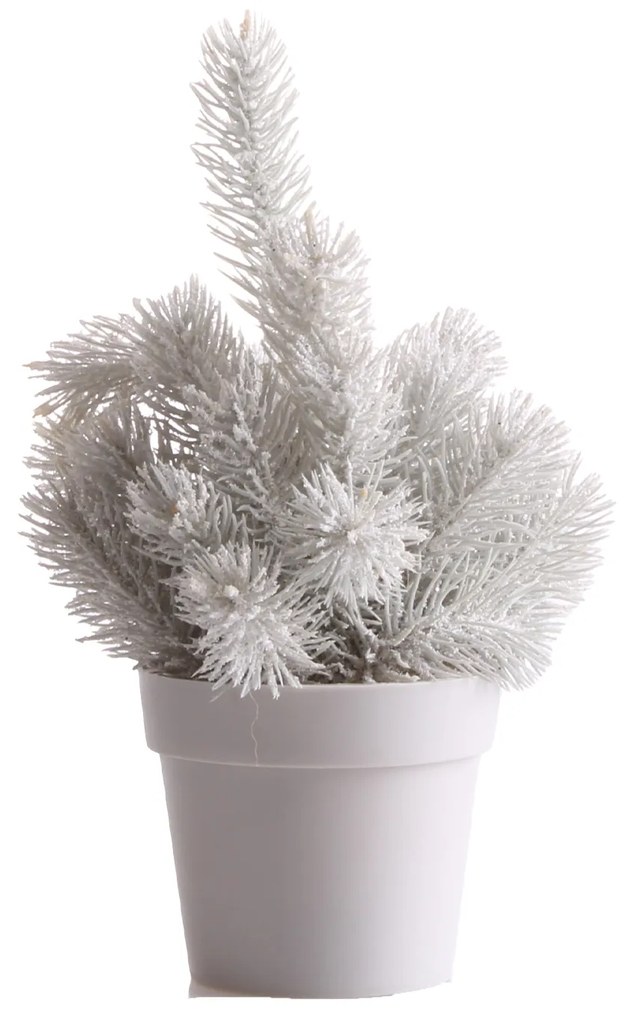 Pinheiro Natal 28CM