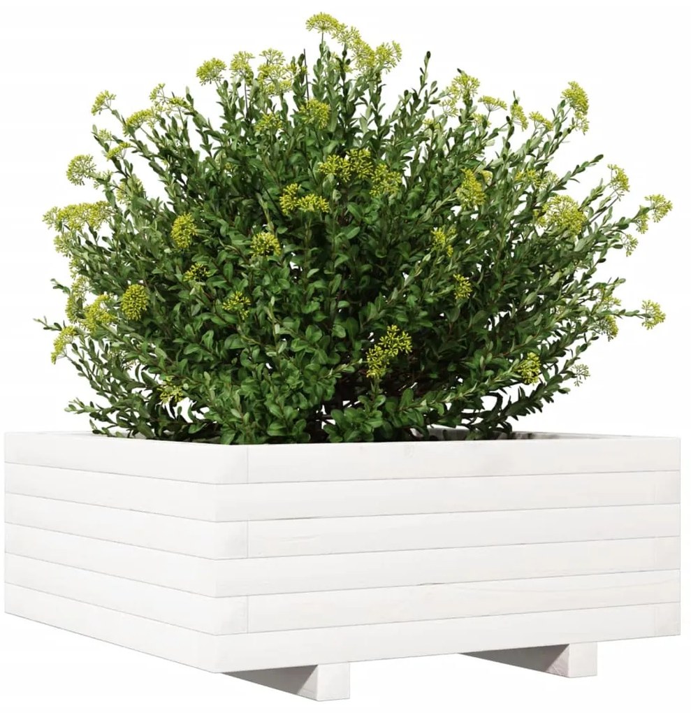Vaso/floreira de jardim 60x60x26,5 cm pinho maciço branco