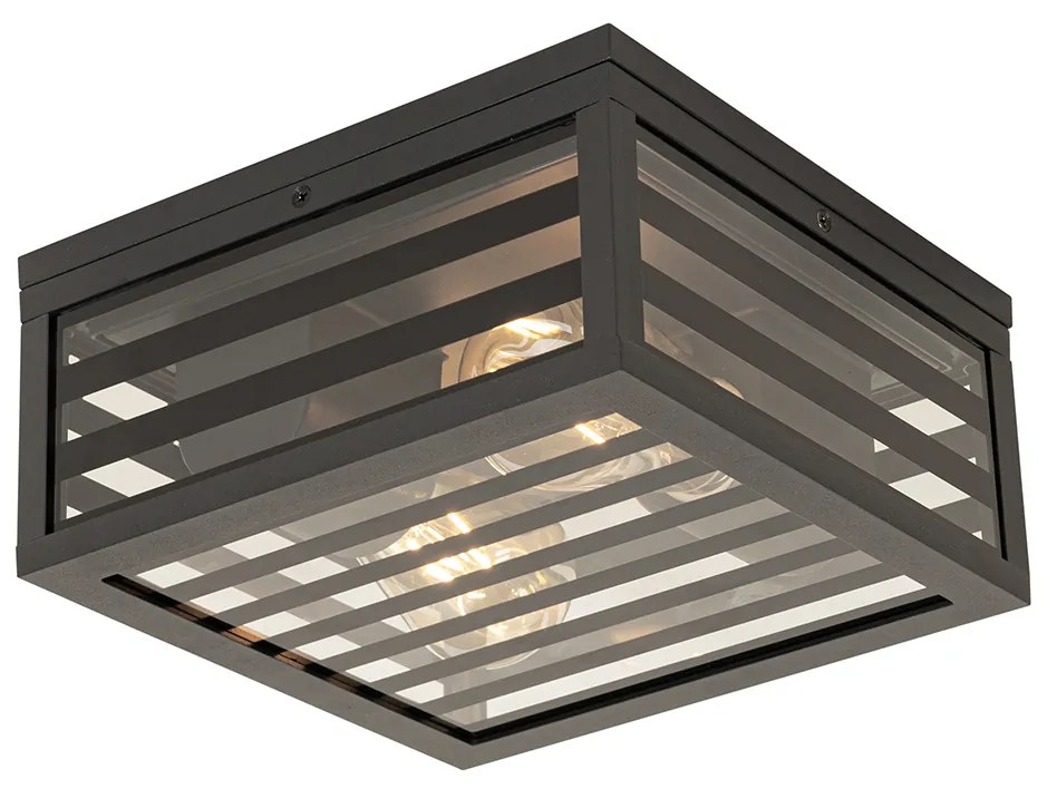 Candeeiro de teto exterior moderno preto em vidro 2 luzes IP44 - Reims Moderno