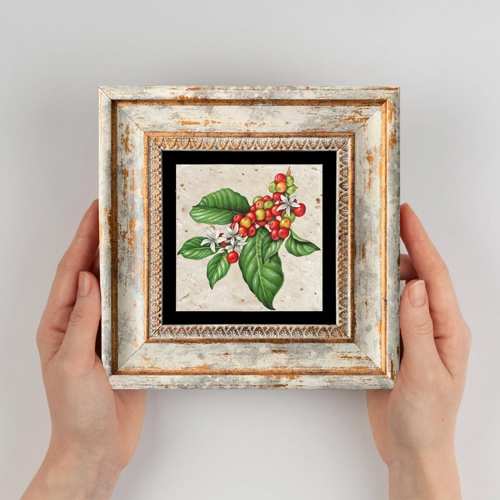 Quadro Decorativo com Moldura TC195327 – Multicolor – 20 x 20 cm