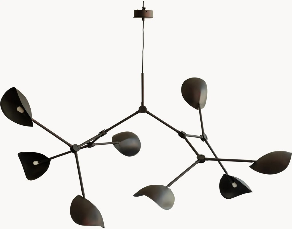 Lustre grande Stingray, vários tamanhos