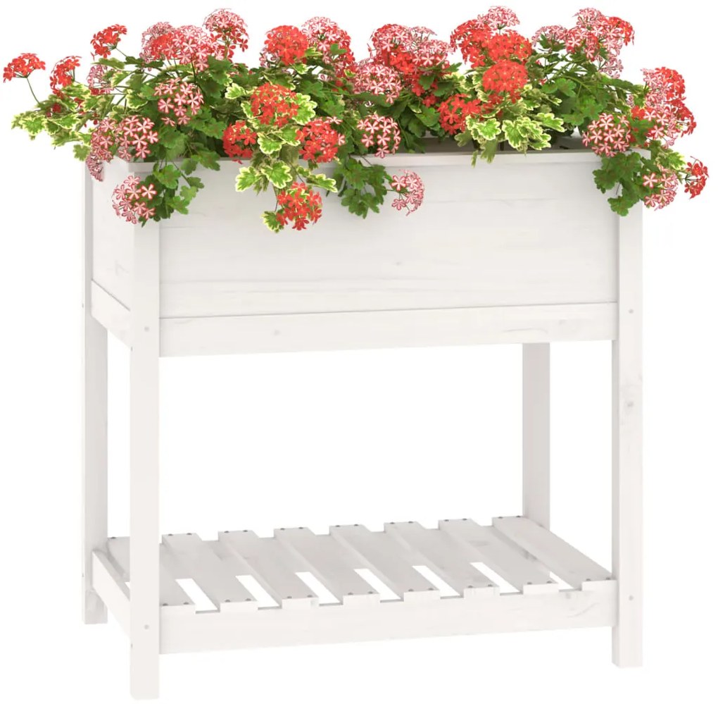 Vaso/floreira com prateleira 82,5x54x81 cm pinho maciço branco
