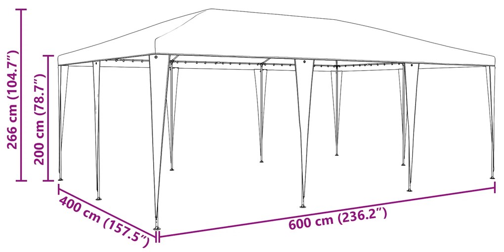 Tenda para Festa Branca 6x4 m PE
