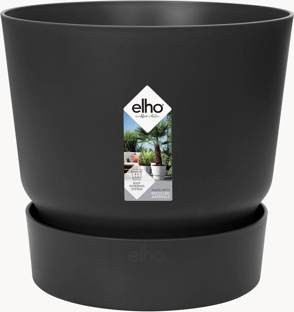 Vaso Greenville