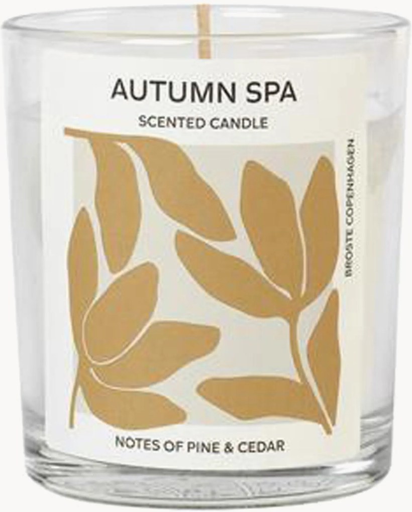 Vela perfumada Autumn Spa (pinheiro, cedro)