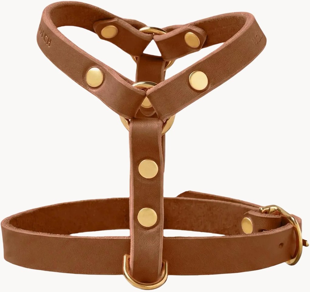 Peitoral para cão em pele Y-Harness, vários tamanhos