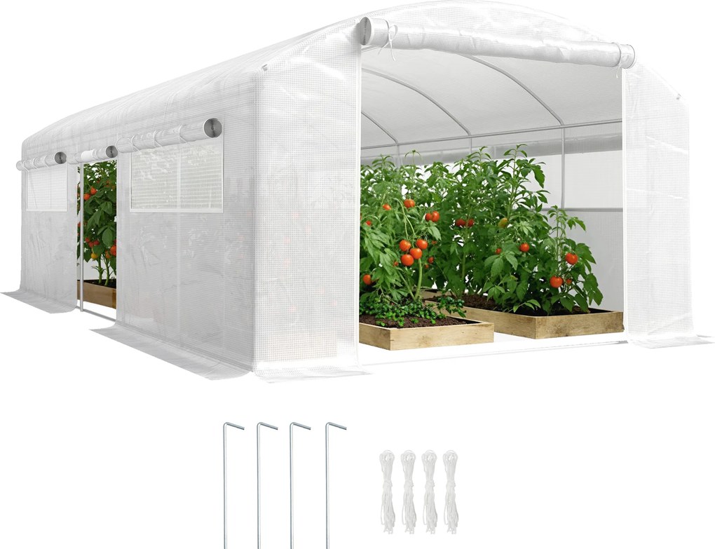 Estufa Túnel 6x3x2 m com 3 Portas Enroláveis, 6 Janelas com Rede e Estrutura de Aço Galvanizado Branco