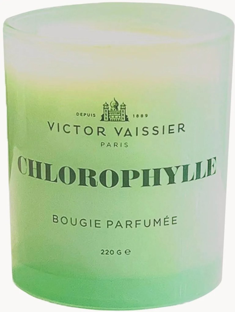 Vela perfumada artesanal Chlorophylle (tulipas, vetiver, fresia)