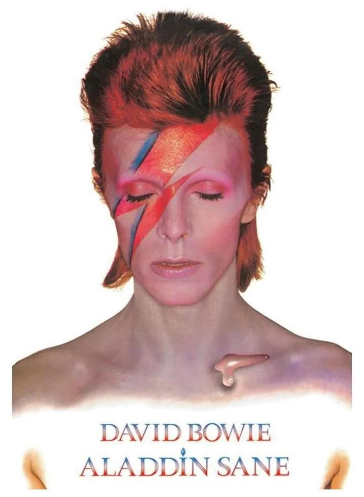 Painéis de Parede David Bowie  TA8336