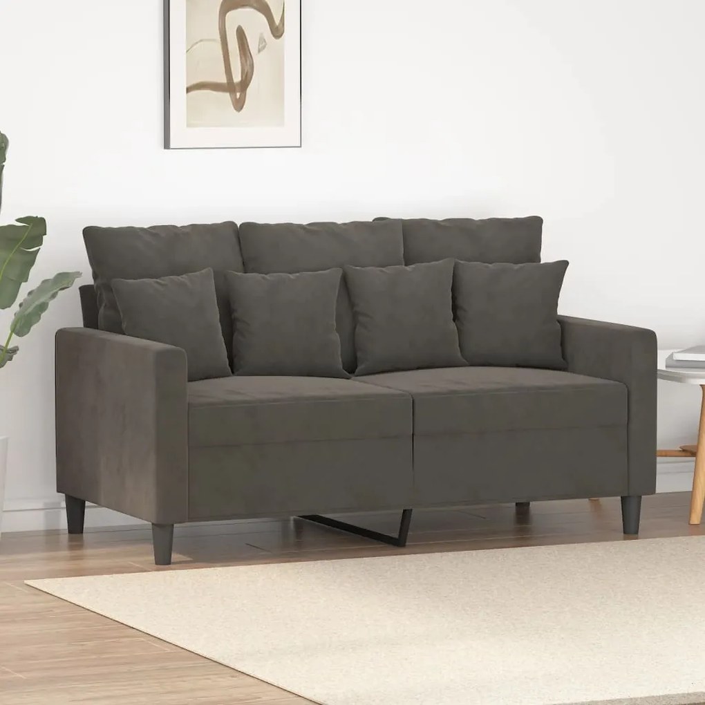 348866 vidaXL Sofá de 2 lugares 120 cm veludo cinza-escuro
