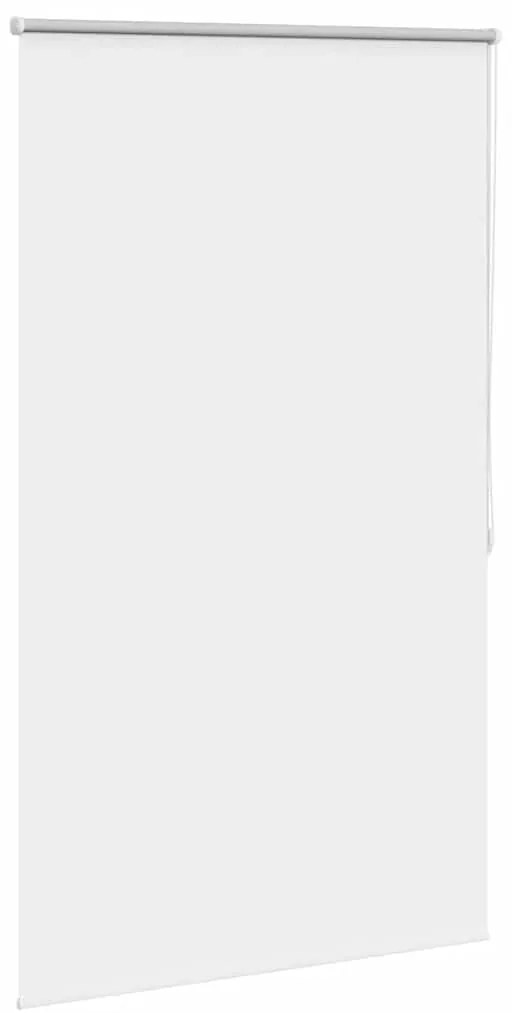 Estore de rolo 80 x 175 cm, Branco