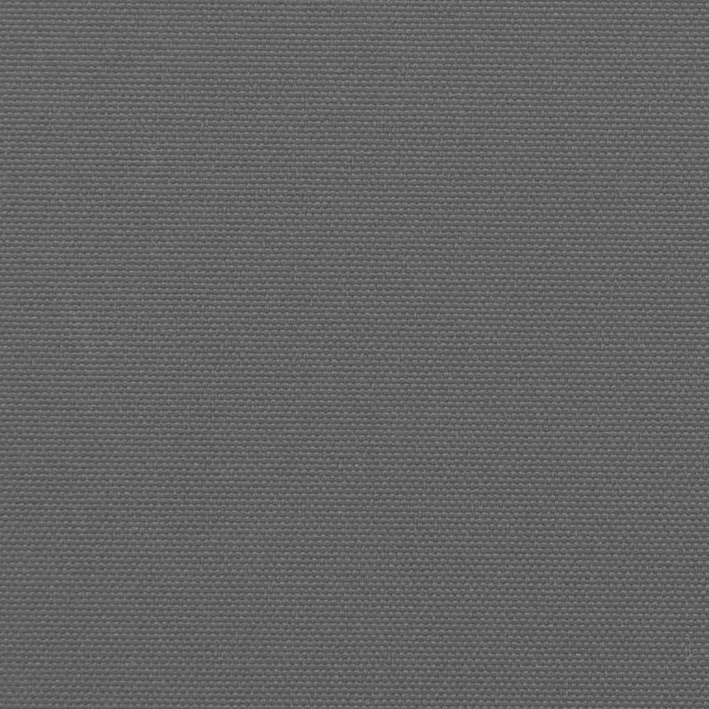 Toldo lateral retrátil 220x500 cm antracite