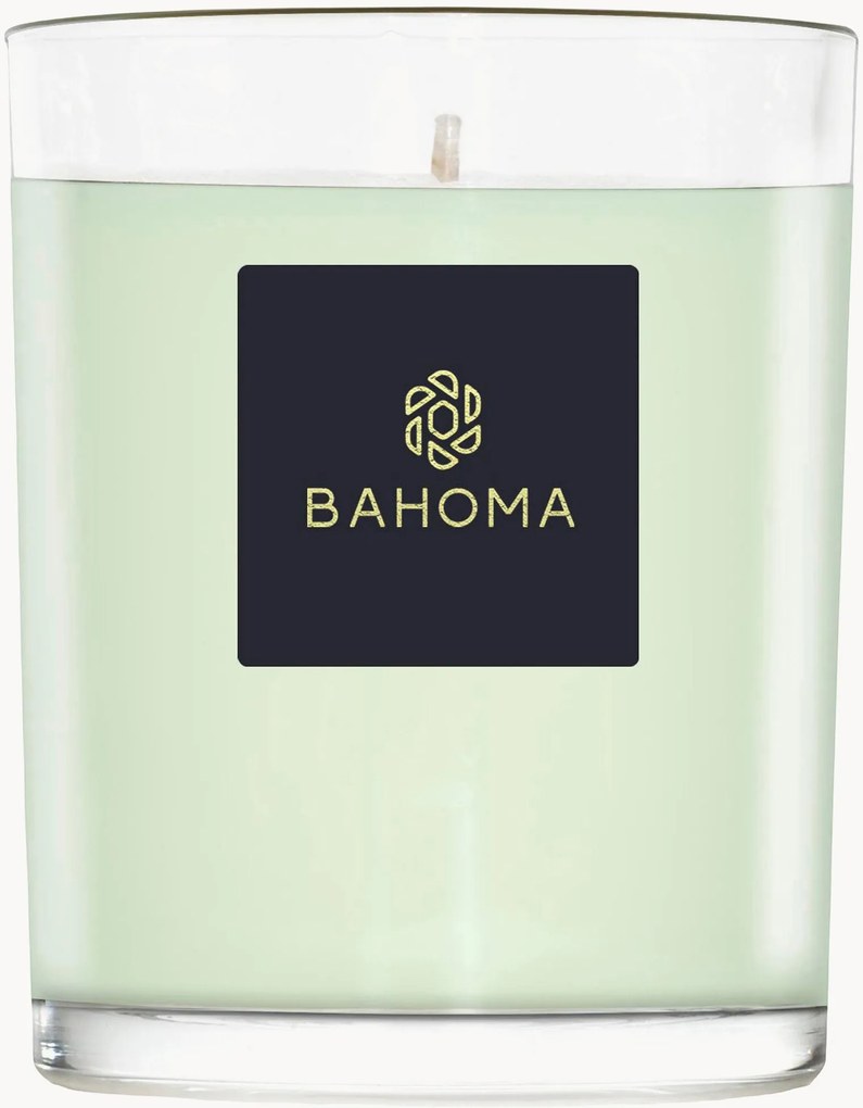 Vela perfumada artesanal Alchemy (primrose, amberwood)