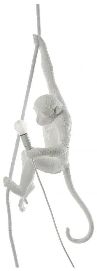 The Monkey Lamp - Suspenso