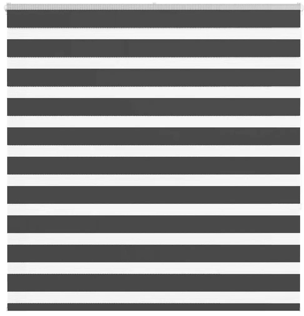 vidaXL Cortina de zebra 150x150 cm largura do tecido 145,9cm poliéster