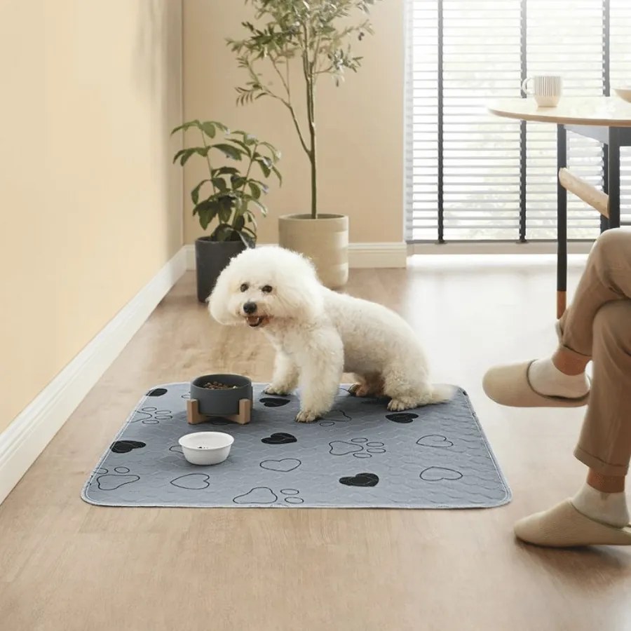 Conjunto de 2 Tapetes laváveis para cães 91 x 86 cm cinzentos