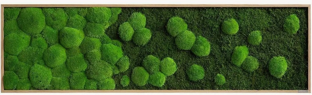 Quadro emoldurado artesanal com musgo Forest & Ball Rain