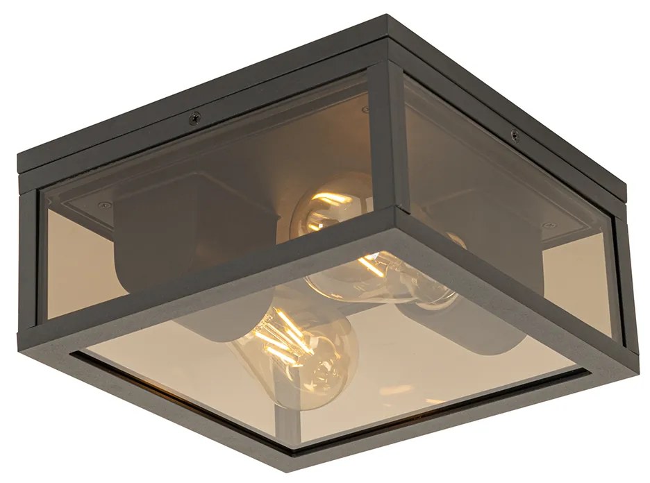 Candeeiro de teto preto com vidro fumê 2 luzes IP44 - Charlois Moderno