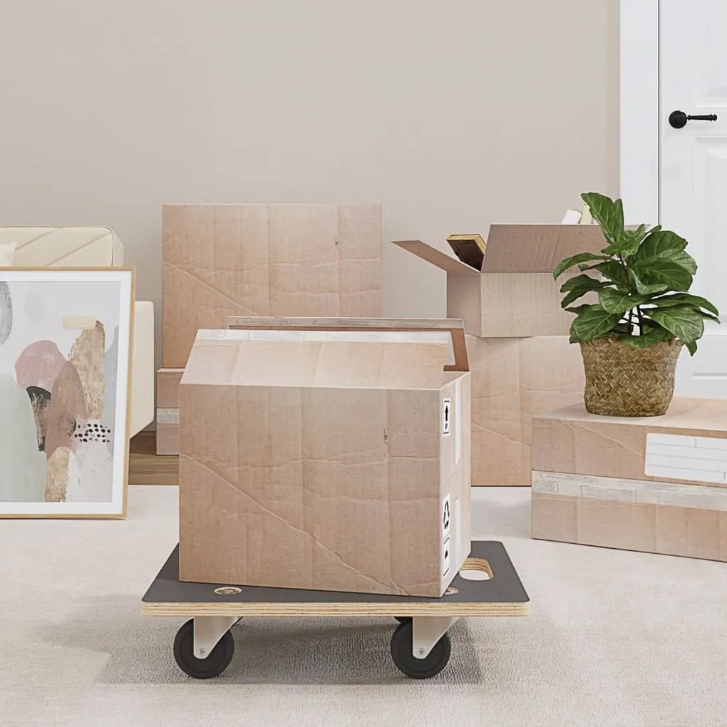 154889 vidaXL Carrinhos de transporte 2 pcs retangular 50x35x11,5 cm
