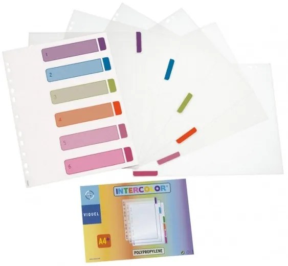 Separadores em Polipropileno A4 305x245mm Intercolor – Firmo