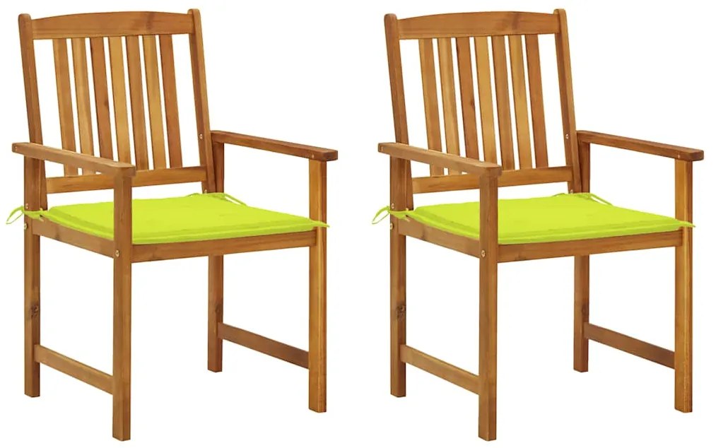 vidaXL Cadeiras de jardim com almofadões 2 pcs acácia maciça