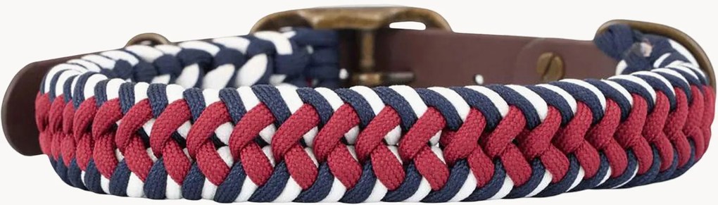 Coleira para cão em paracord artesanal Royal