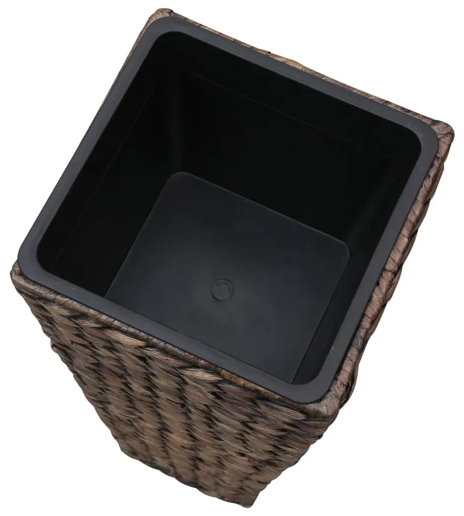 Vasos/floreiras 3 pcs jacinto de água castanho-escuro